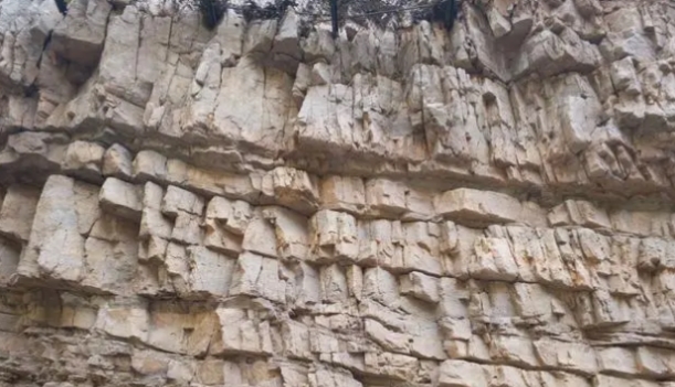 沉积岩有哪些结构特征   沉积岩有什么用途