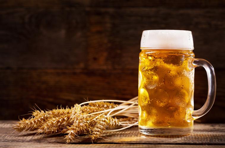 啤酒度数是看麦芽度还是酒精度