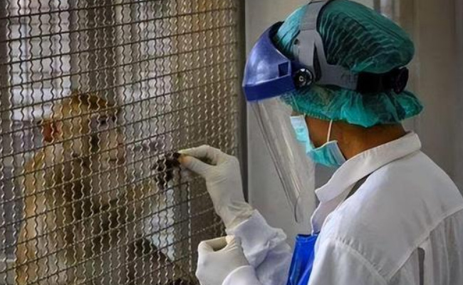 国家卫生健康委：猴痘9月20日起纳入乙类传染病管理 有什么意义