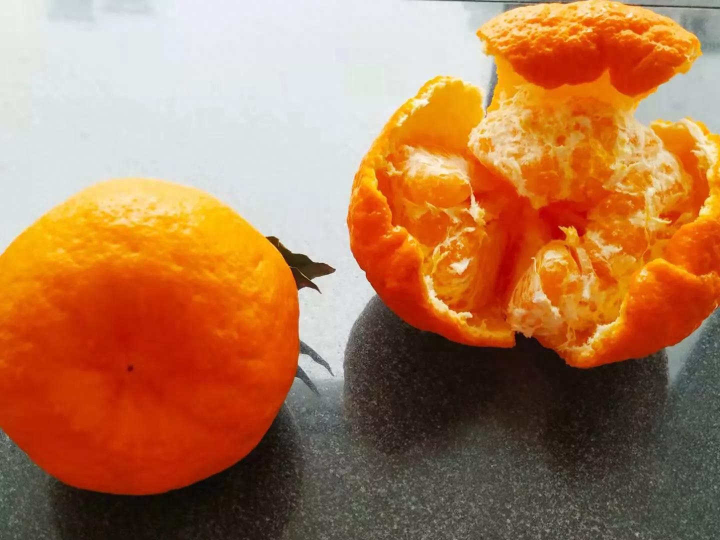 丑橘和粑粑柑有什么区别(丑橘和粑粑柑有什么区别哪个好吃)