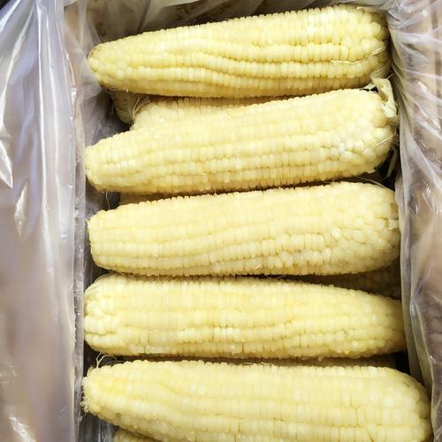 玉米棒可以冷冻保存吗