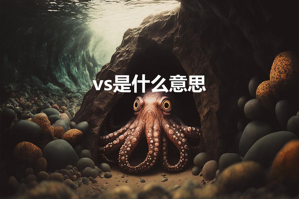 vs是什么意思（在中文里是什么意思）
