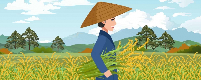2023中国农民丰收节是哪一天 2023年中国农民丰收节是几月几日