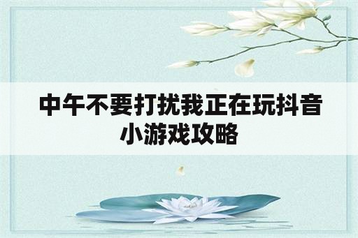 中午不要打扰我正在玩抖音小游戏攻略