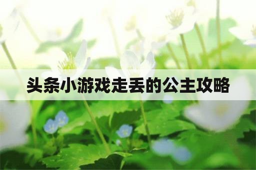 头条小游戏走丢的公主攻略