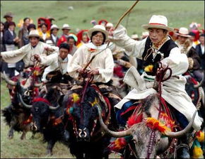 西藏藏族农民身着节日服装 欢度 望果节 