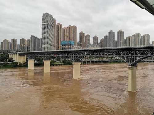 直击2021重庆磁器口最大洪峰过境,主城多地涨水情况来了