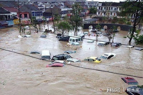 多难兴邦 天佑中华 洪水灾区健康饮水解决方案