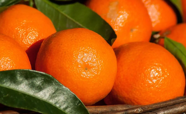 橘子有什么功效  橘子的禁忌是什么
