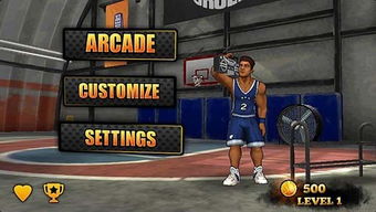 街头篮球电脑版 街头篮球电脑版 v1.2 PC版下载 9553下载 
