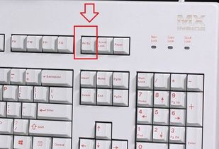 键盘截屏的快捷键是什么微信截图快捷键是哪个(微信快捷截屏键ctrl+什么)