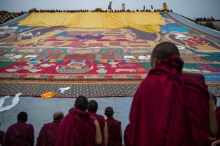 中国专家在日内瓦发声 西藏宗教和睦和顺 藏传佛教等各种宗教并存