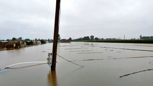 农村十分之七的农田被洪水淹没 