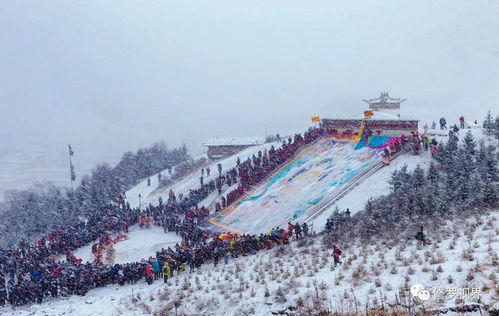 2021年郎木寺晒佛节 亮宝节 拉卜楞寺酥油花灯会摄影团