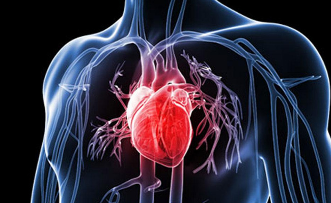 ​伤害心脏的7件事是什么  保护心脏要怎么做
