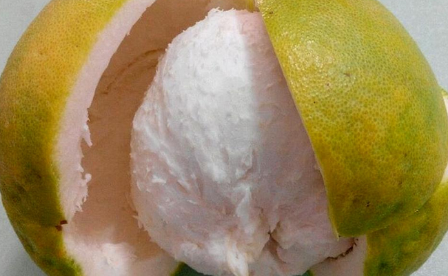 柚子皮怎么吃止咳化痰最好  柚子皮怎么吃 
