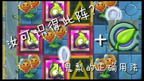 pvz2超时空之战Day5 6不丢车