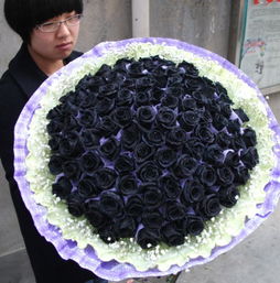 99朵黑玫瑰鲜花黑色玫瑰花束黑色妖姬上海黑玫瑰纯黑玫瑰花大花束 