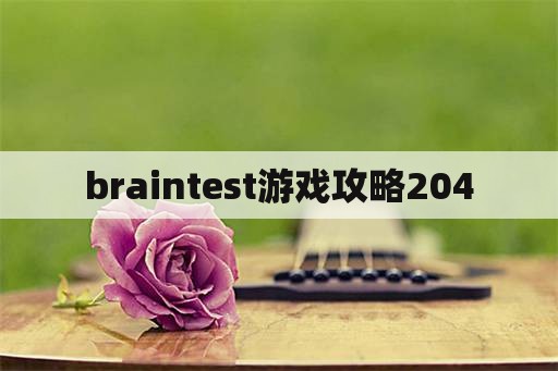 braintest游戏攻略204