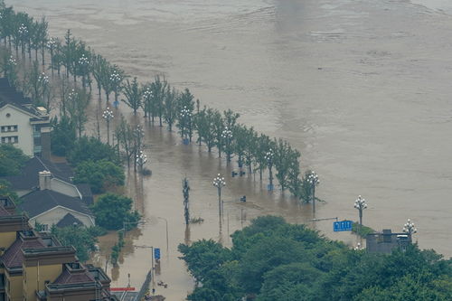 降雨量大 洪水前后叠加 多流汇集 专家解读重庆遭遇大洪水成因