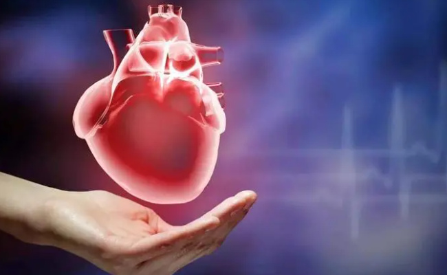 为什么心脏不会生癌 心脏会患其他疾病吗