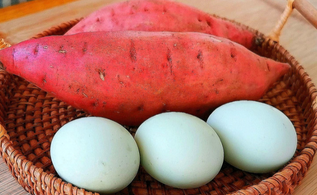 鸡蛋和红薯同食有什么危害  红薯不能和什么一起吃