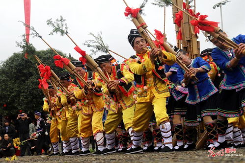 芦笙节是哪两个民族的节日什么族把火把节当传统节日(芦笙节是什么少数民族的节日)