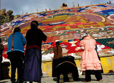 2010年拉萨雪顿节开幕 8月西藏旅游指南 