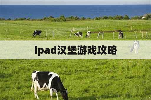 ipad汉堡游戏攻略