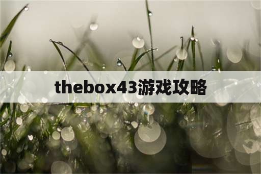 thebox43游戏攻略