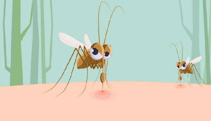2023年为什么蚊子多了 专家警告因为全球变暖未来蚊虫可能全年无休