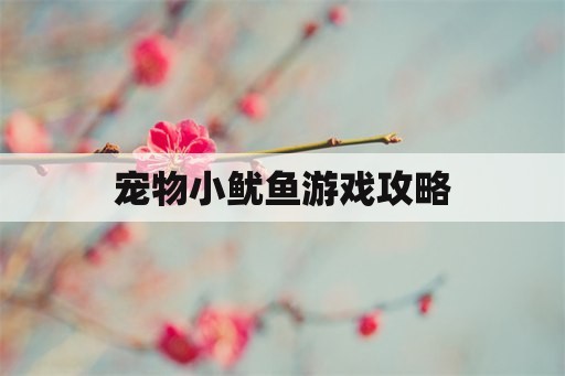 宠物小鱿鱼游戏攻略