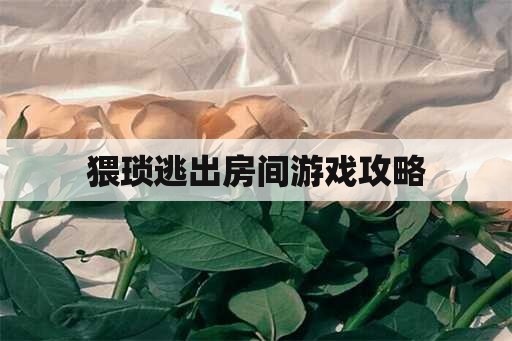 猥琐逃出房间游戏攻略