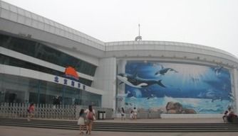 北京海洋馆和天津海昌极地海洋馆那个比较好,这两个地方有什么区别 