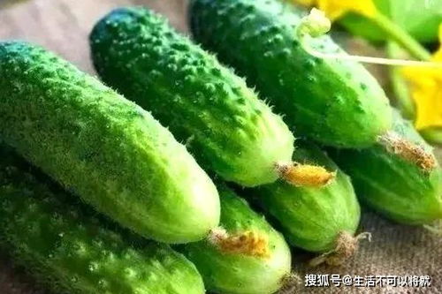 富人吃虫草,穷人吃黄瓜 医生 黄瓜虽好,4大误区需避开