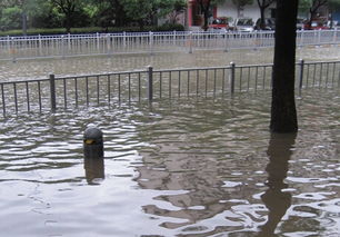 梦见江河涨大水