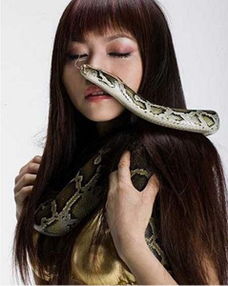 怀孕梦见打死蛇是什么意思孕妇梦见蛇并且把蛇杀了(孕妇做梦梦见打死蛇)