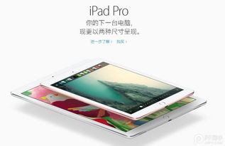 蜂窝版iPad Pro什么时候上市 或5月开售