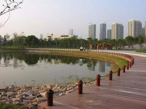 深圳超美湿地 红树林生态公园最全攻略 