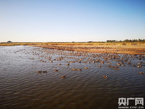 查干湖 嫩江湾湿地生态保护 加快吉林旅游产业发展