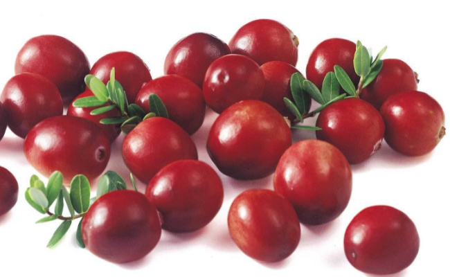 糖尿病人可以吃蔓越莓吗  蔓越莓是什么