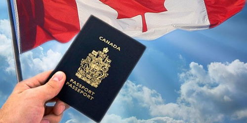 加拿大签证申请流程方案