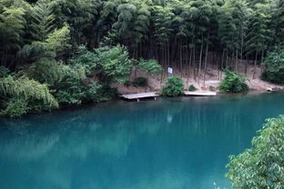 杭州周边最适合带娃去住的亲子民宿,还有明星们都超爱的网红民宿丨南方民宿