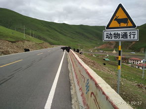 骑行318川藏线的最佳月份骑行川藏线一天多少公里合适(骑行317川藏线攻略)