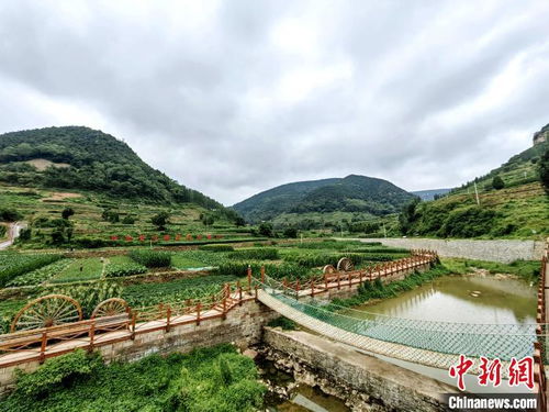 高质量发展调研行 山东临沂 特色乡村旅游助小山村 华丽转身 