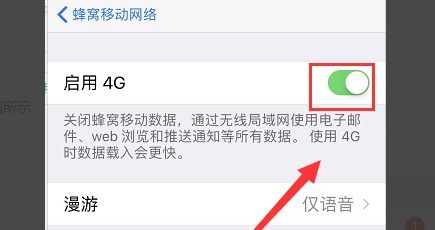 苹果5设置4g网络(苹果设置4g网络模式)