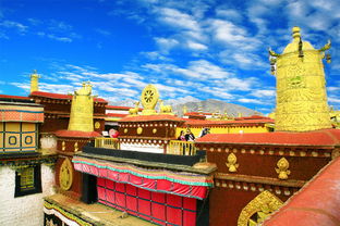 拉萨市内一日游 布达拉宫 可单选 大昭寺 可单选 文成公主实景剧 金牌讲解 深度藏文化体验之旅
