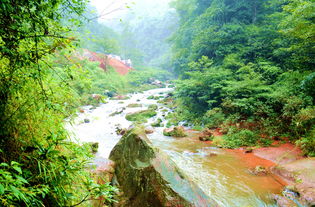 我去贵州赤水旅游 赤水大瀑布景区游记 途牛 