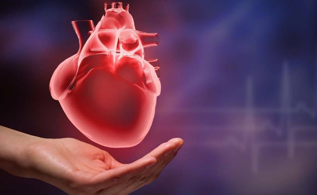 ​心脏骤停有哪些原因  情绪激动会影响心脏病吗