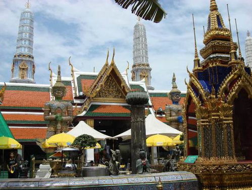 为什么很多人去泰国一般都选择跟团游 游客 自由行价格太贵